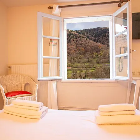 Garden & - Domaine De Ramonjuan 3*