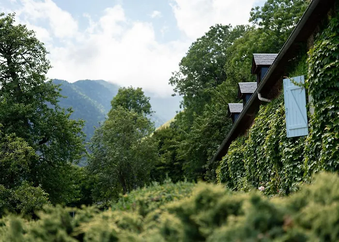 Garden & - Domaine De Ramonjuan 3* 바네르드비고르